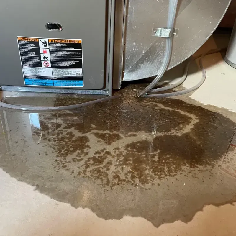 Appliance Leak Cleanup in Bude, MS